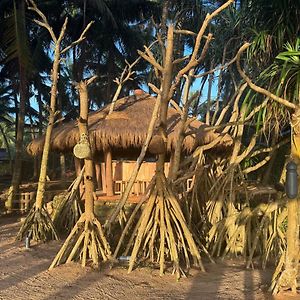 Coconut Bar